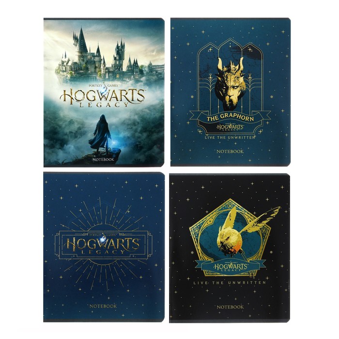�������  48� ������ HATBER "Hogwarts Legacy-����� ������" ���������� ������,���� 65 �/�?, 5� �������