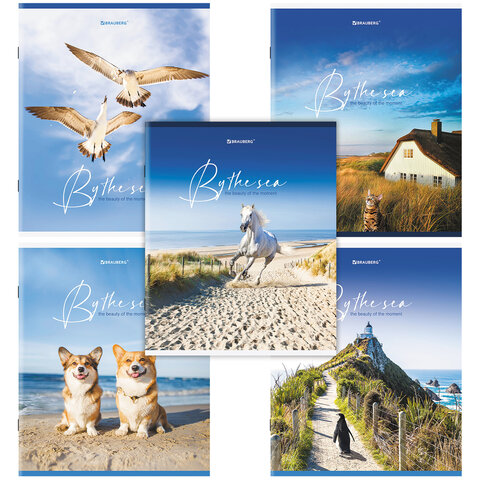 �������  80� ������ BRAUBERG "By the Sea"
