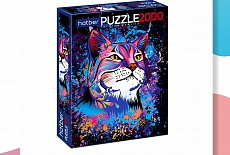 ����� ������ 2026